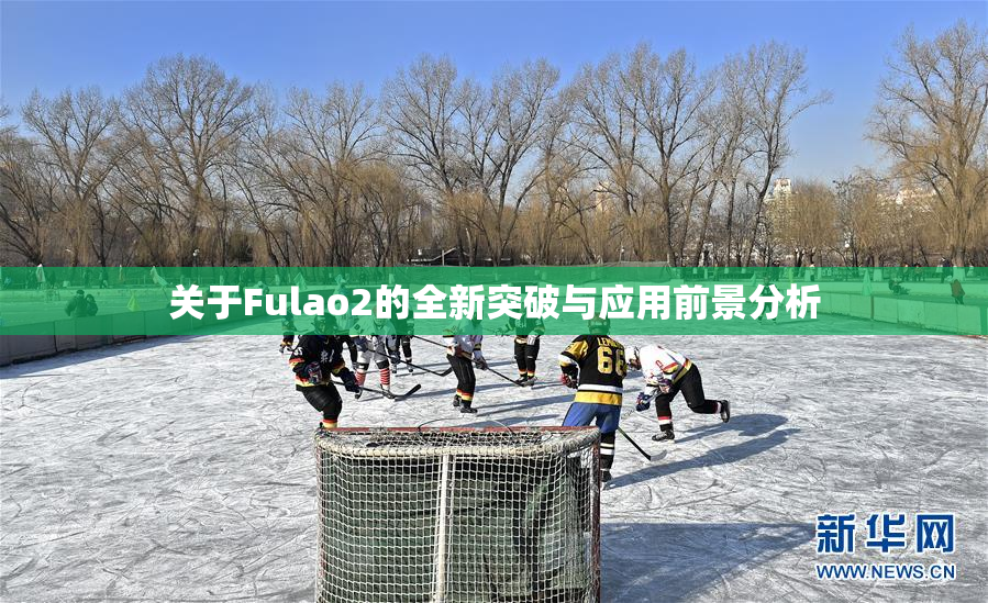 关于Fulao2的全新突破与应用前景分析