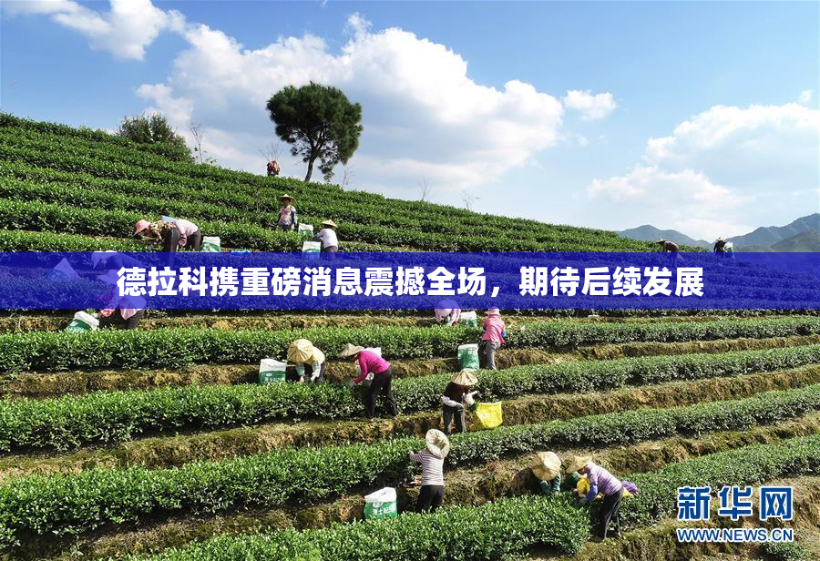 德拉科携重磅消息震撼全场，期待后续发展