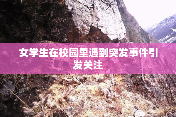 女学生在校园里遇到突发事件引发关注