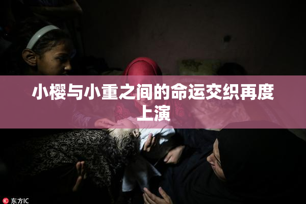 小樱与小重之间的命运交织再度上演