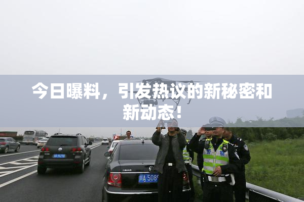 今日曝料，引发热议的新秘密和新动态！