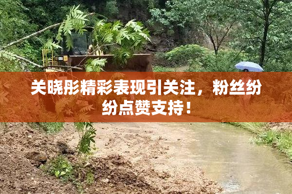关晓彤精彩表现引关注，粉丝纷纷点赞支持！