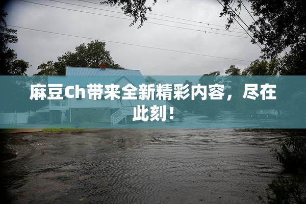 麻豆Ch带来全新精彩内容，尽在此刻！