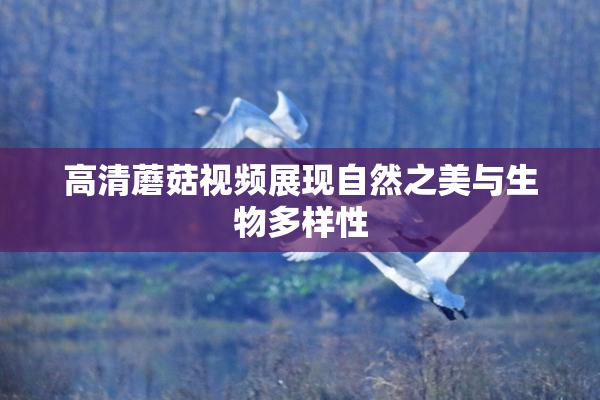 高清蘑菇视频展现自然之美与生物多样性