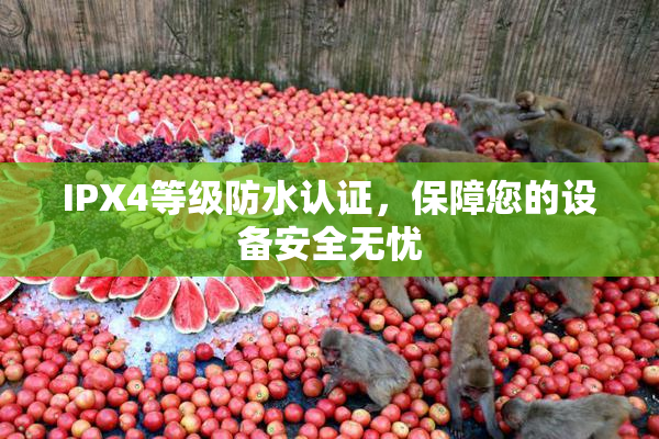 IPX4等级防水认证，保障您的设备安全无忧