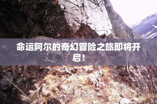 命运阿尔的奇幻冒险之旅即将开启！