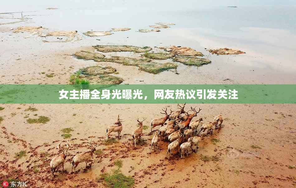女主播全身光曝光，网友热议引发关注
