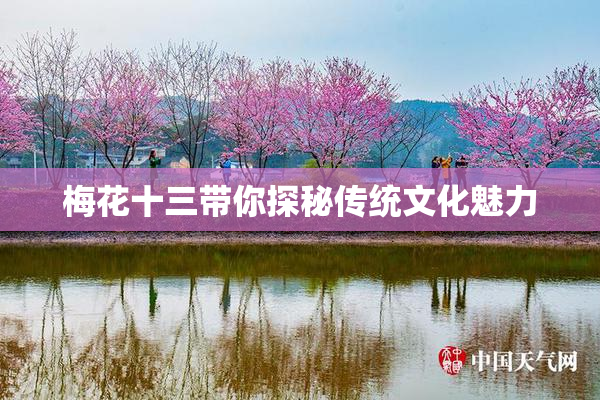 梅花十三带你探秘传统文化魅力