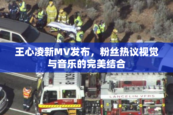 王心凌新MV发布，粉丝热议视觉与音乐的完美结合