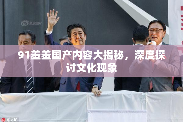 91羞羞国产内容大揭秘，深度探讨文化现象