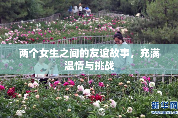 两个女生之间的友谊故事，充满温情与挑战