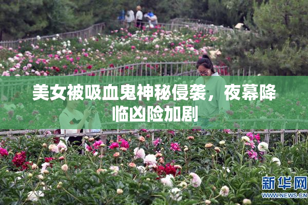 美女被吸血鬼神秘侵袭，夜幕降临凶险加剧