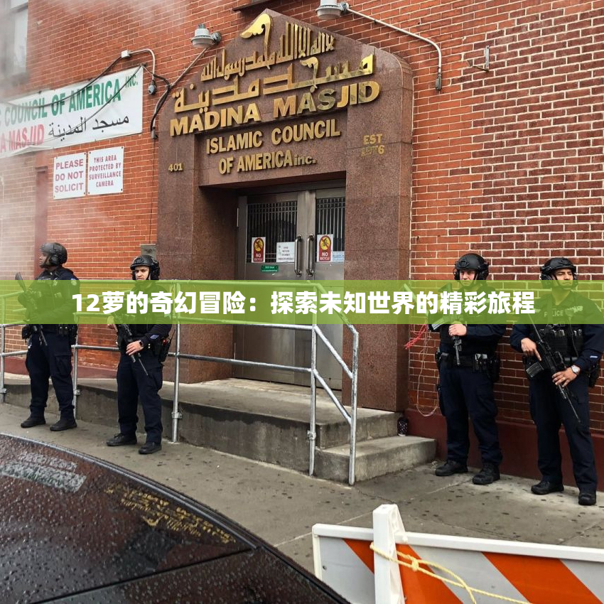 12萝的奇幻冒险：探索未知世界的精彩旅程
