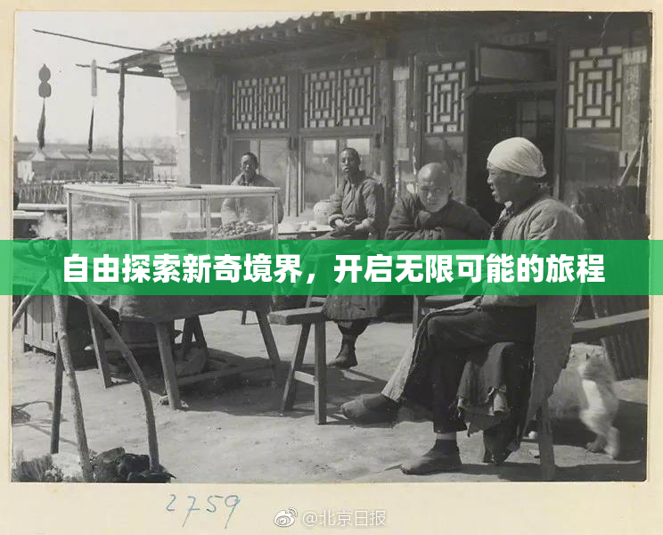 自由探索新奇境界，开启无限可能的旅程