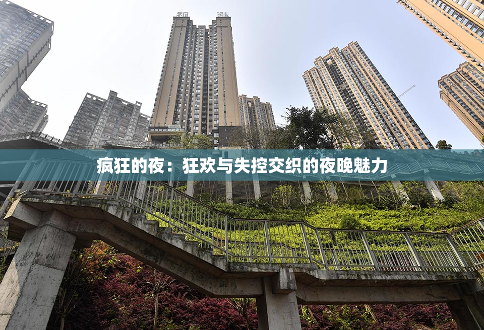 疯狂的夜：狂欢与失控交织的夜晚魅力
