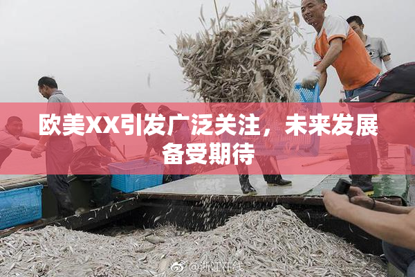 欧美XX引发广泛关注，未来发展备受期待