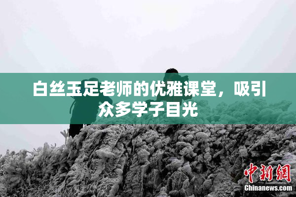 白丝玉足老师的优雅课堂，吸引众多学子目光