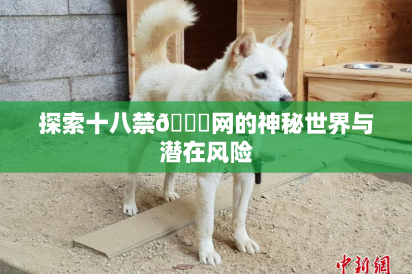 探索十八禁🔞网的神秘世界与潜在风险