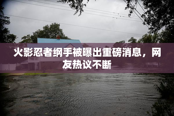 火影忍者纲手被曝出重磅消息，网友热议不断