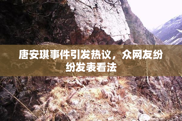 唐安琪事件引发热议，众网友纷纷发表看法