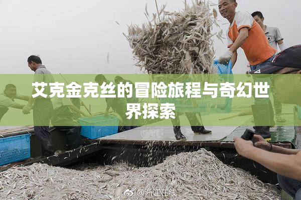 艾克金克丝的冒险旅程与奇幻世界探索