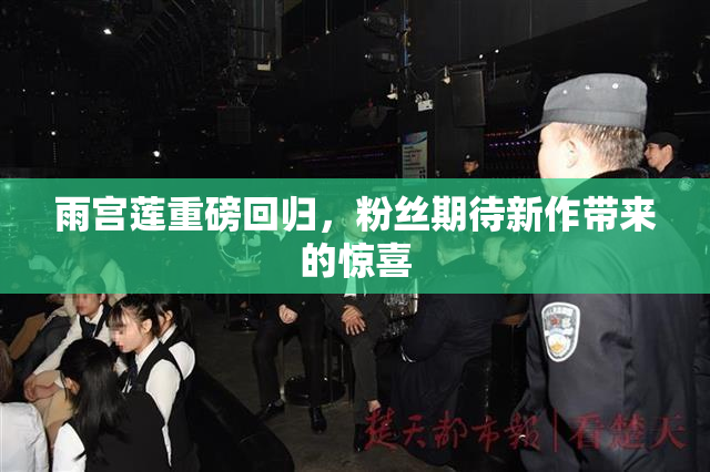 雨宫莲重磅回归，粉丝期待新作带来的惊喜