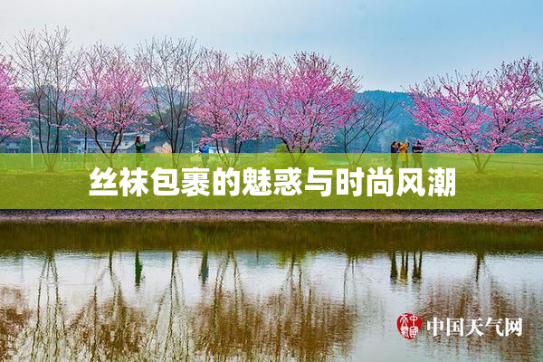 丝袜包裹的魅惑与时尚风潮