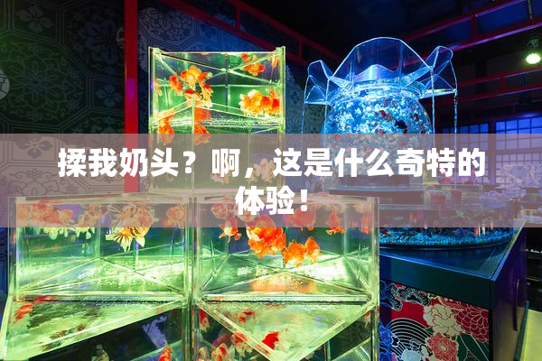 揉我奶头？啊，这是什么奇特的体验！