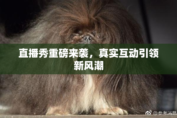 直播秀重磅来袭，真实互动引领新风潮