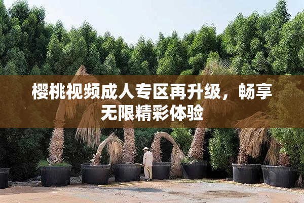 樱桃视频成人专区再升级，畅享无限精彩体验