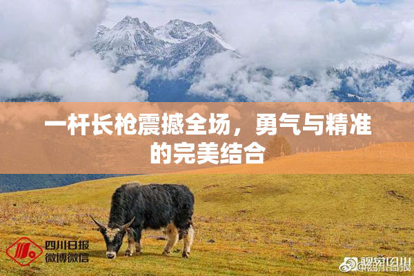 一杆长枪震撼全场，勇气与精准的完美结合