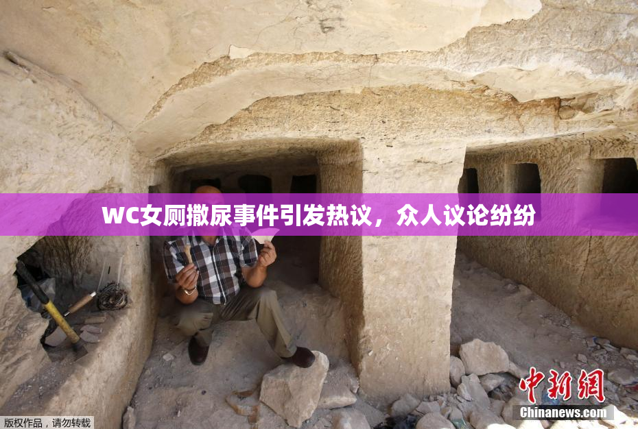 WC女厕撒尿事件引发热议，众人议论纷纷