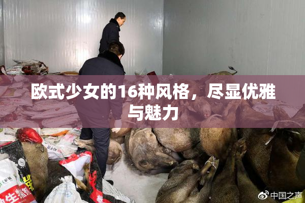 欧式少女的16种风格，尽显优雅与魅力