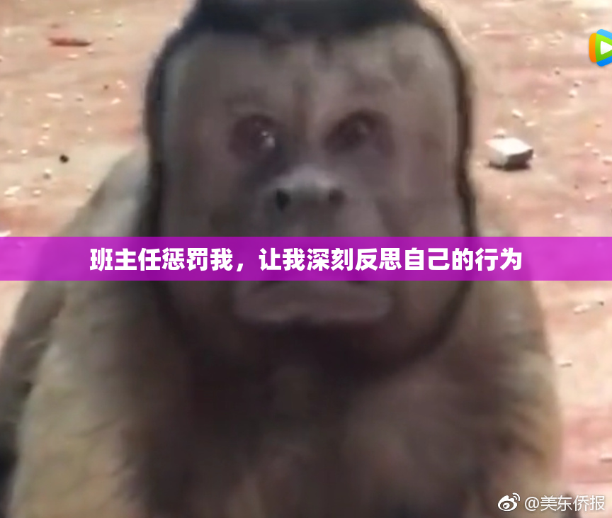 班主任惩罚我，让我深刻反思自己的行为
