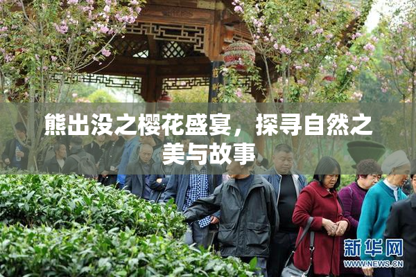 熊出没之樱花盛宴，探寻自然之美与故事