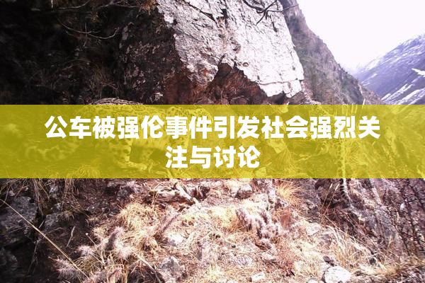 公车被强伦事件引发社会强烈关注与讨论