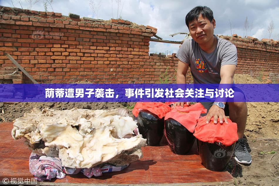 荫蒂遭男子袭击，事件引发社会关注与讨论