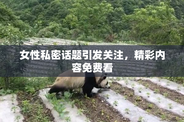 女性私密话题引发关注，精彩内容免费看