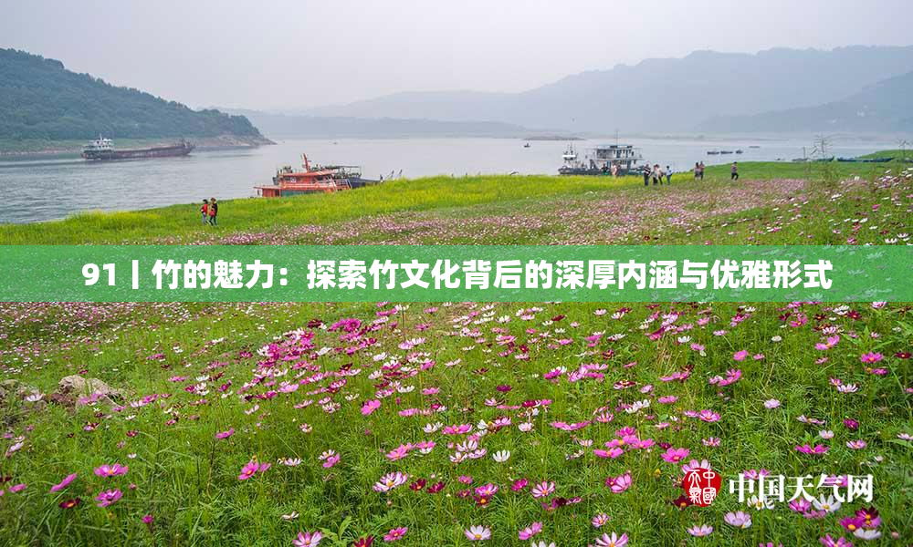 91丨竹的魅力：探索竹文化背后的深厚内涵与优雅形式
