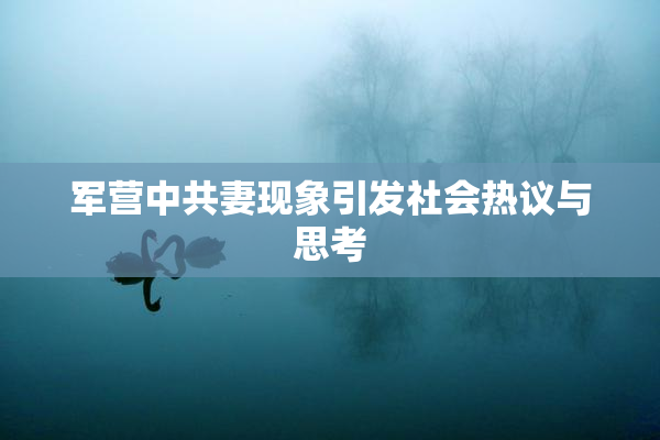 军营中共妻现象引发社会热议与思考