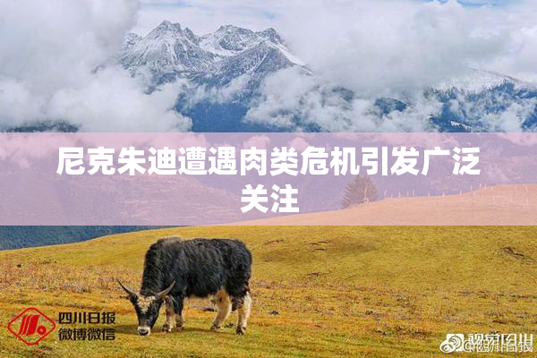 尼克朱迪遭遇肉类危机引发广泛关注