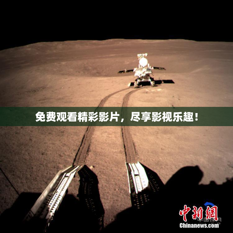 免费观看精彩影片，尽享影视乐趣！