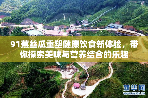 91蕉丝瓜重塑健康饮食新体验，带你探索美味与营养结合的乐趣