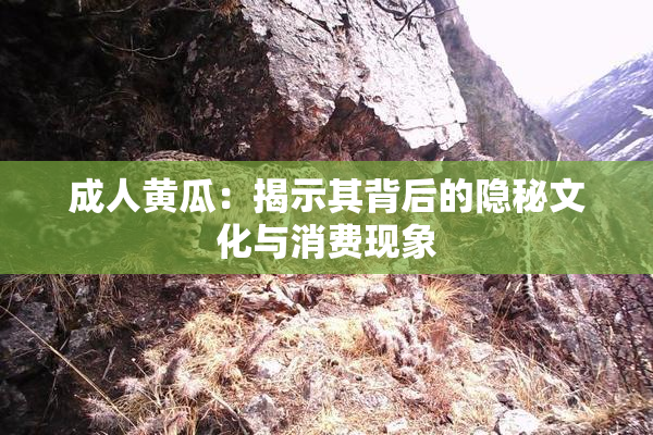成人黄瓜：揭示其背后的隐秘文化与消费现象