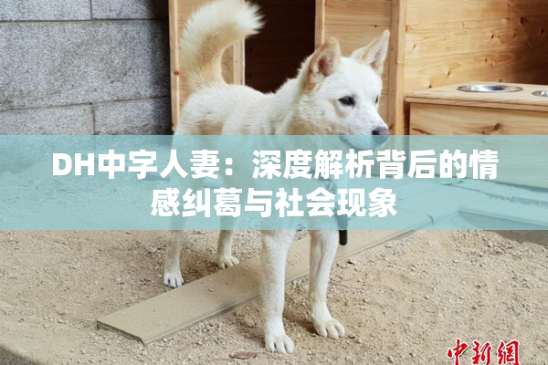 DH中字人妻：深度解析背后的情感纠葛与社会现象