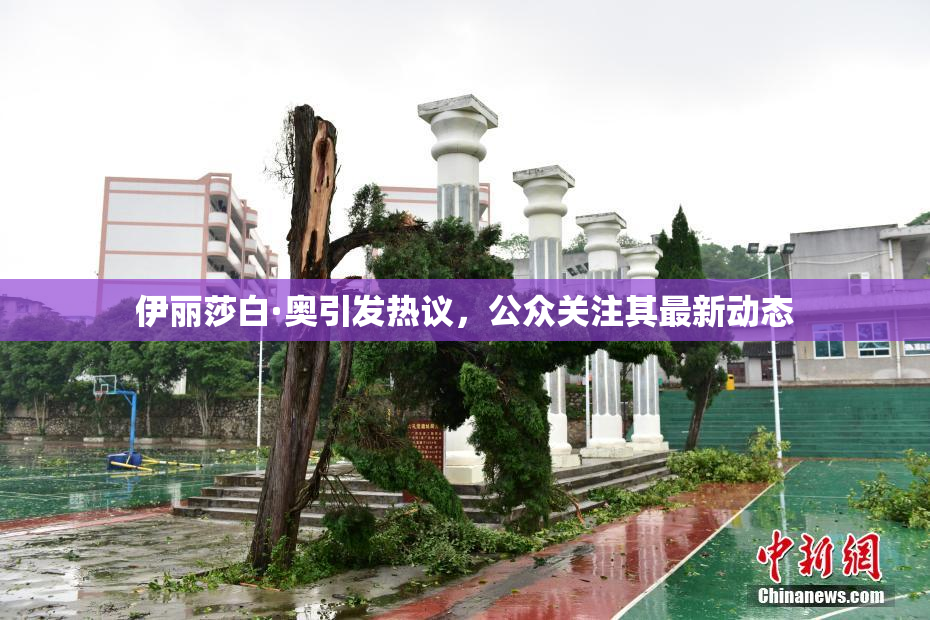 伊丽莎白·奥引发热议，公众关注其最新动态
