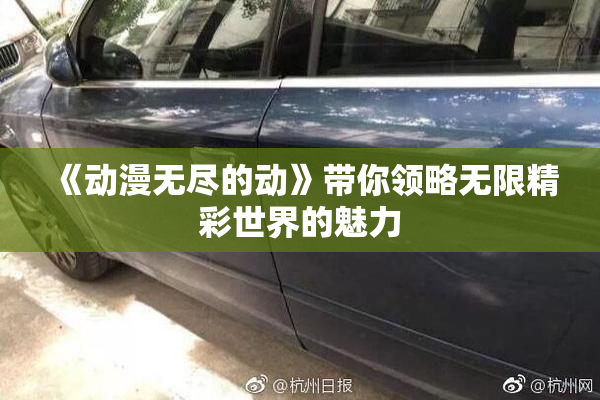 《动漫无尽的动》带你领略无限精彩世界的魅力
