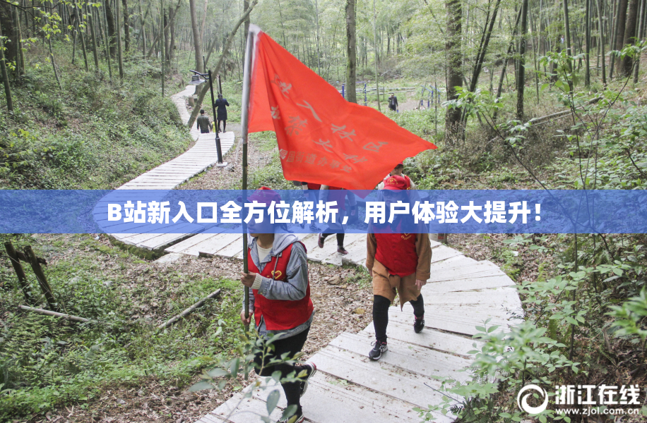 B站新入口全方位解析，用户体验大提升！