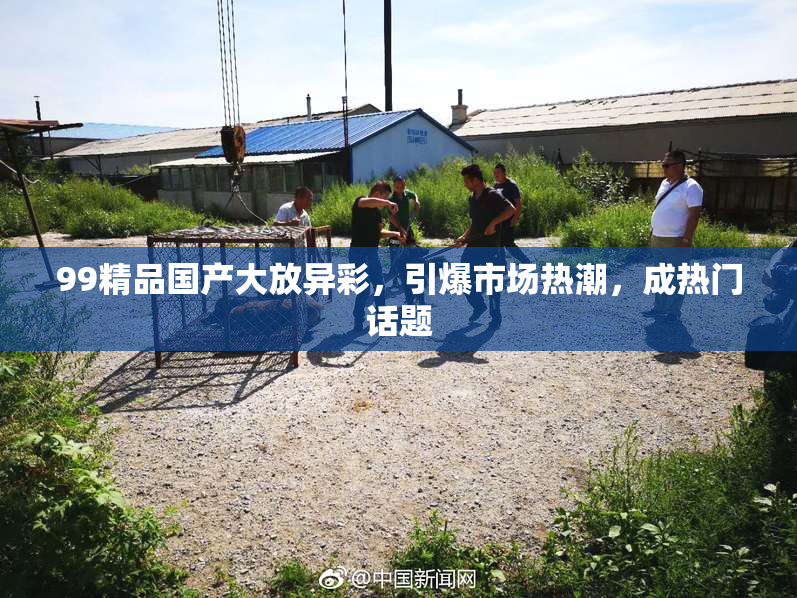 99精品国产大放异彩，引爆市场热潮，成热门话题