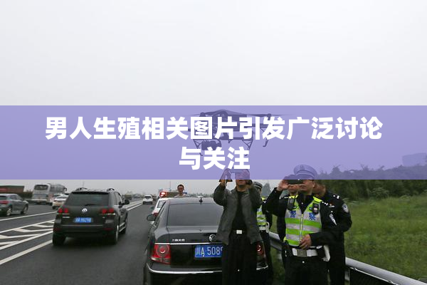 男人生殖相关图片引发广泛讨论与关注